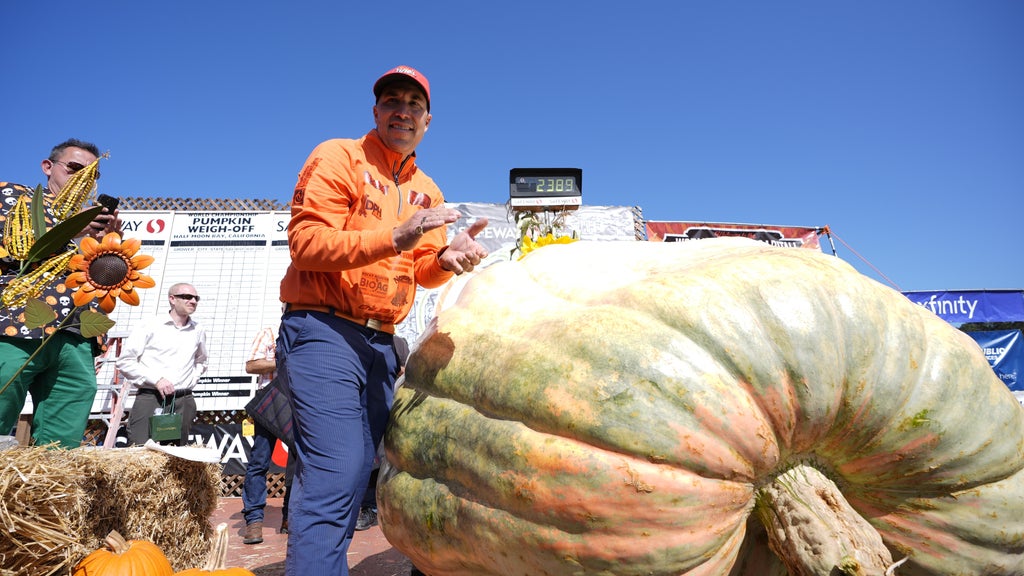 Minnesota man drives hauls giant pumpkin over 2,000 miles to California competition — WCCO / CBS Minnesota, Chaska Community news