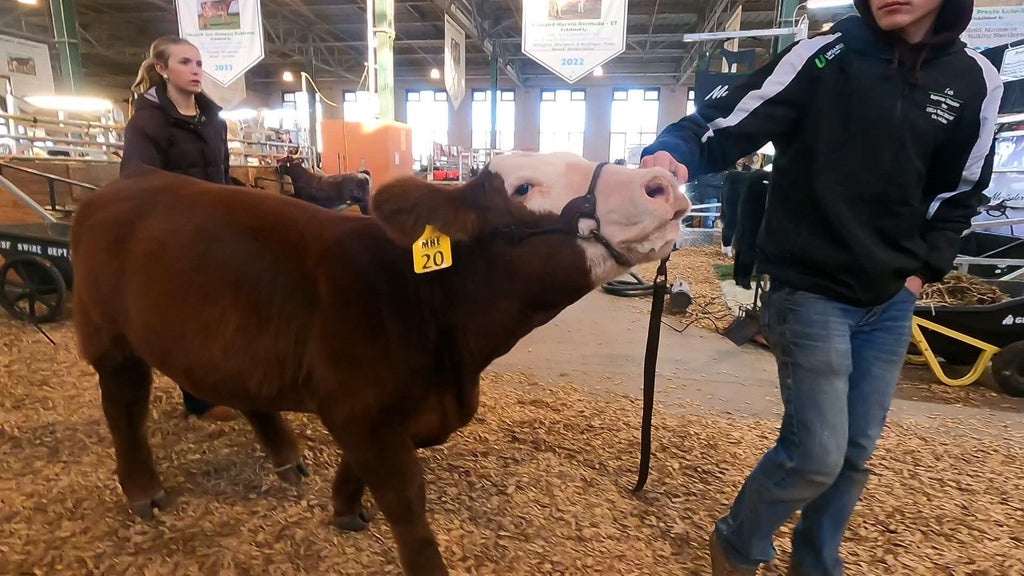 Spotlight on beef as Minnesota midterms near — WCCO / CBS Minnesota, Chaska Community news