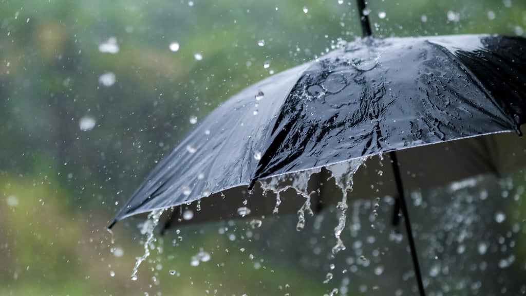 Widespread rain in Minnesota Monday; milder air returns Tuesday — WCCO / CBS Minnesota, Chaska Community news
