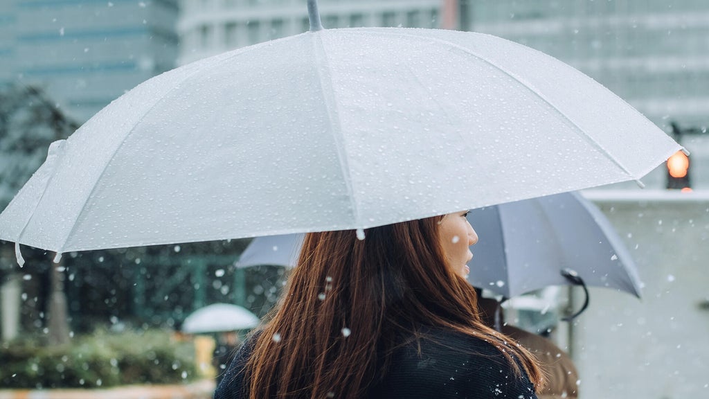 Soggy, chilly Thursday in the Twin Cities; season's first frost possible Saturday — WCCO / CBS Minnesota, Chaska Sports news