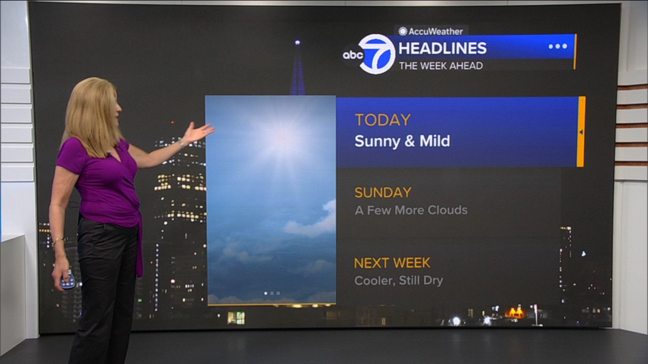 AccuWeather Forecast: Sunny and mild
       — ABC 7 Bay Area
