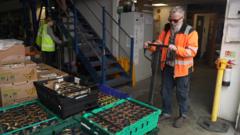 Food aid charity under pressure from fuel costs — BBC Business, Chaska Business news