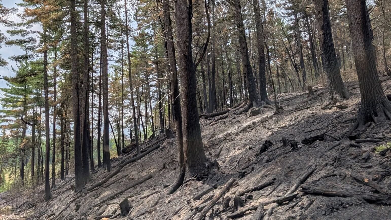 74-year-old who became separated from his family on a trail in Ely was discovered dead — KSTP 5, Chaska Community news
