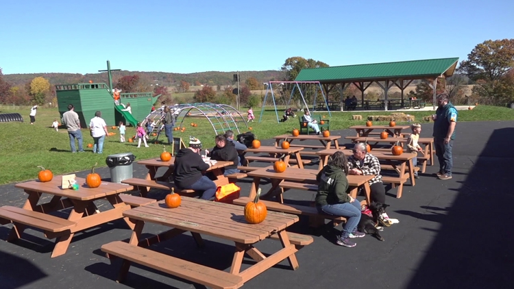 Outdoor festival in Columbia County brings together artists and businesses to connect with the community — WNEP 16 (Scranton/Wilkes-Barre), Chaska Arts news