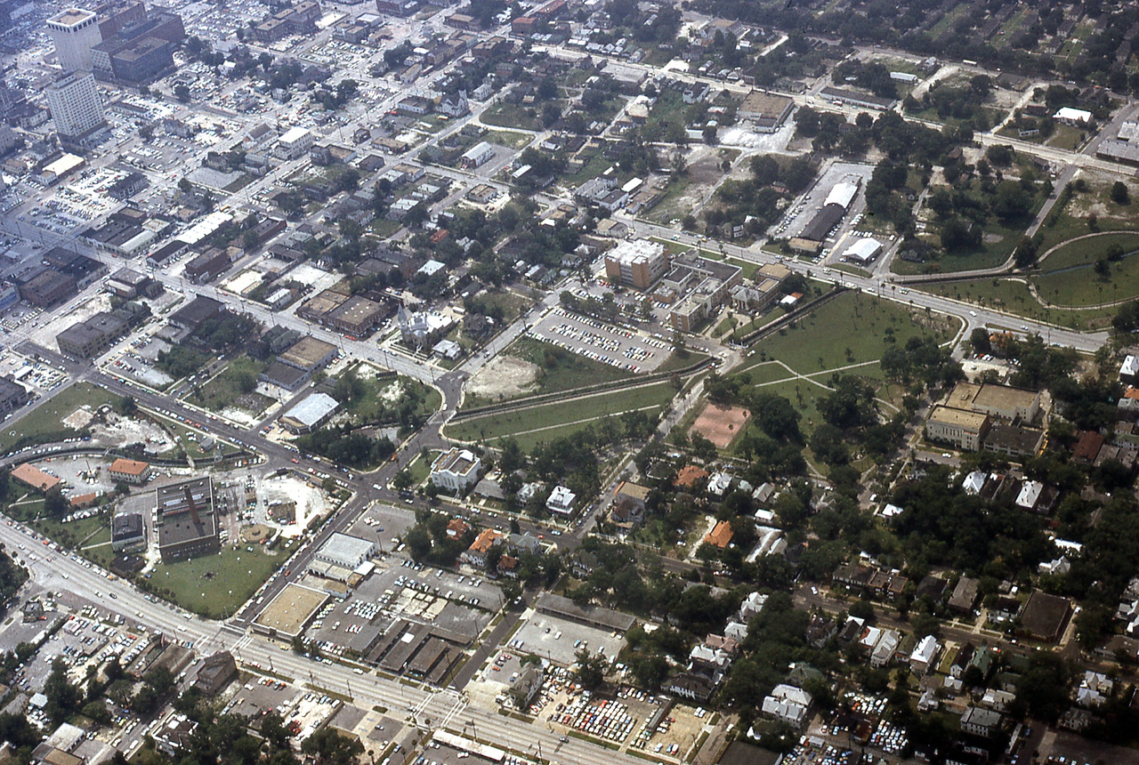 THE JAXSON | The oak tree that remembers Black Bottom — Jacksonville Today, Chaska Schools news