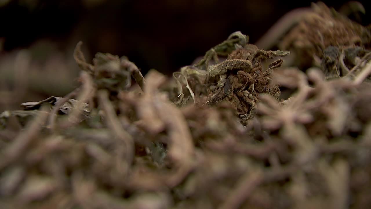 Hemp THC deadline hits $200 million industry, leads to layoffs, but liquor stores may maintain — FOX 9, Chaska Business news