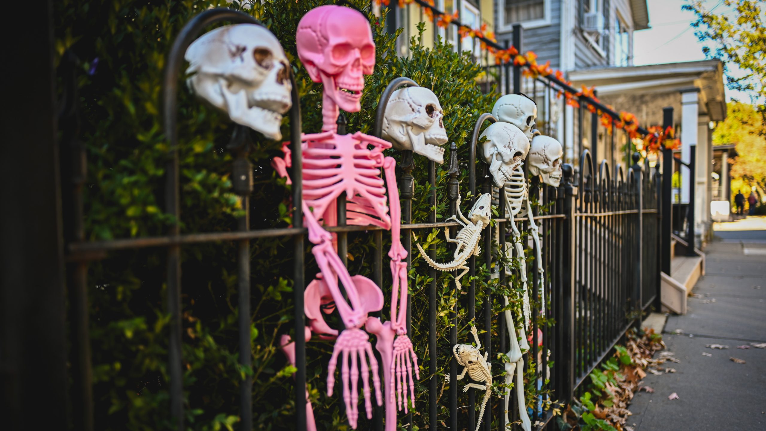 America's best cities for Halloween, ranked — FOX 9, Chaska Community news