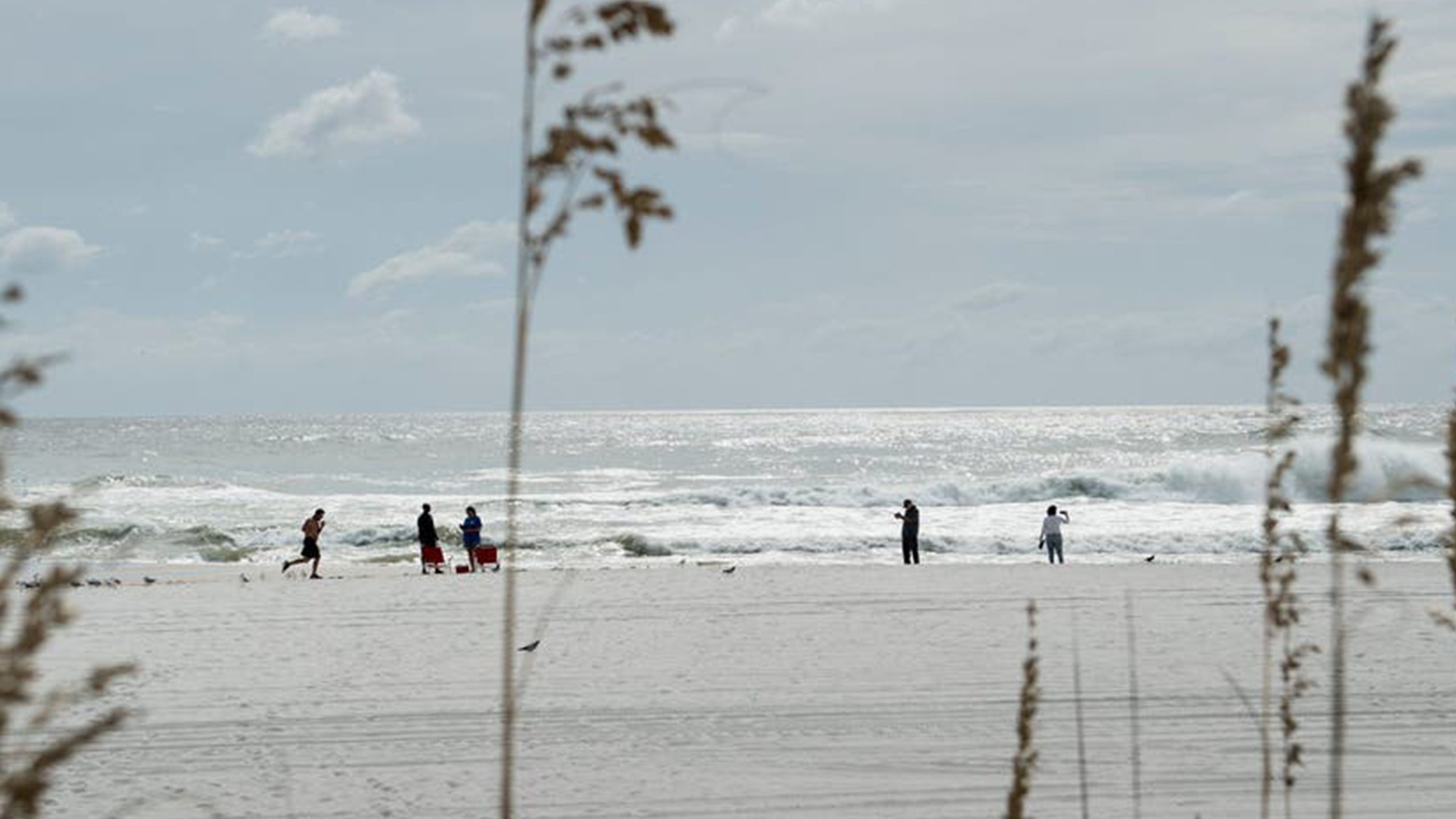 Father of 2 drowns after being caught in current trying to rescue seagull caught in fishing line — Chaska Community news